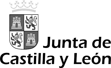 Junta de Castilla y León